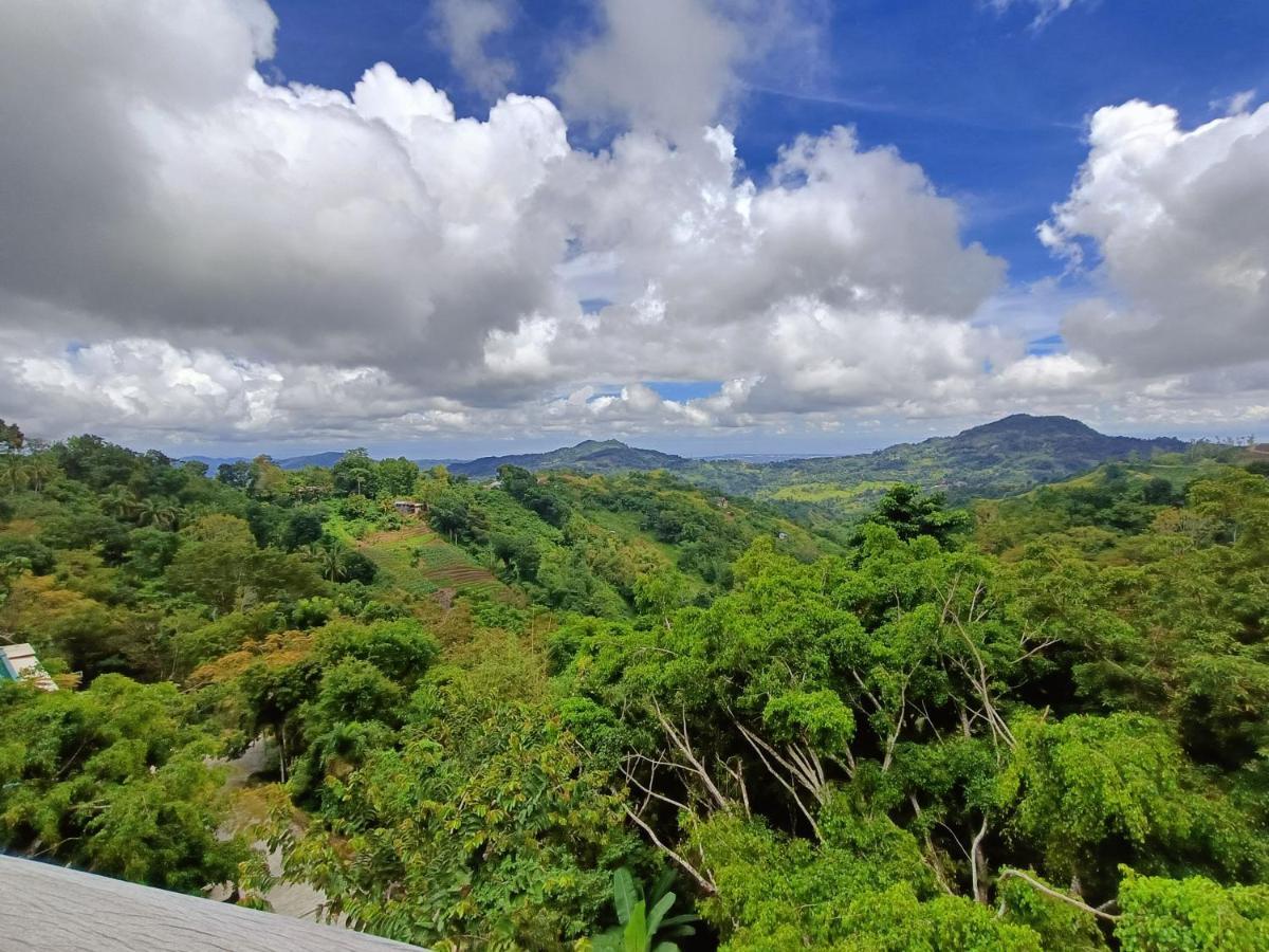 Mist Mountain Resort Powered By Cocotel Cebu Exteriér fotografie