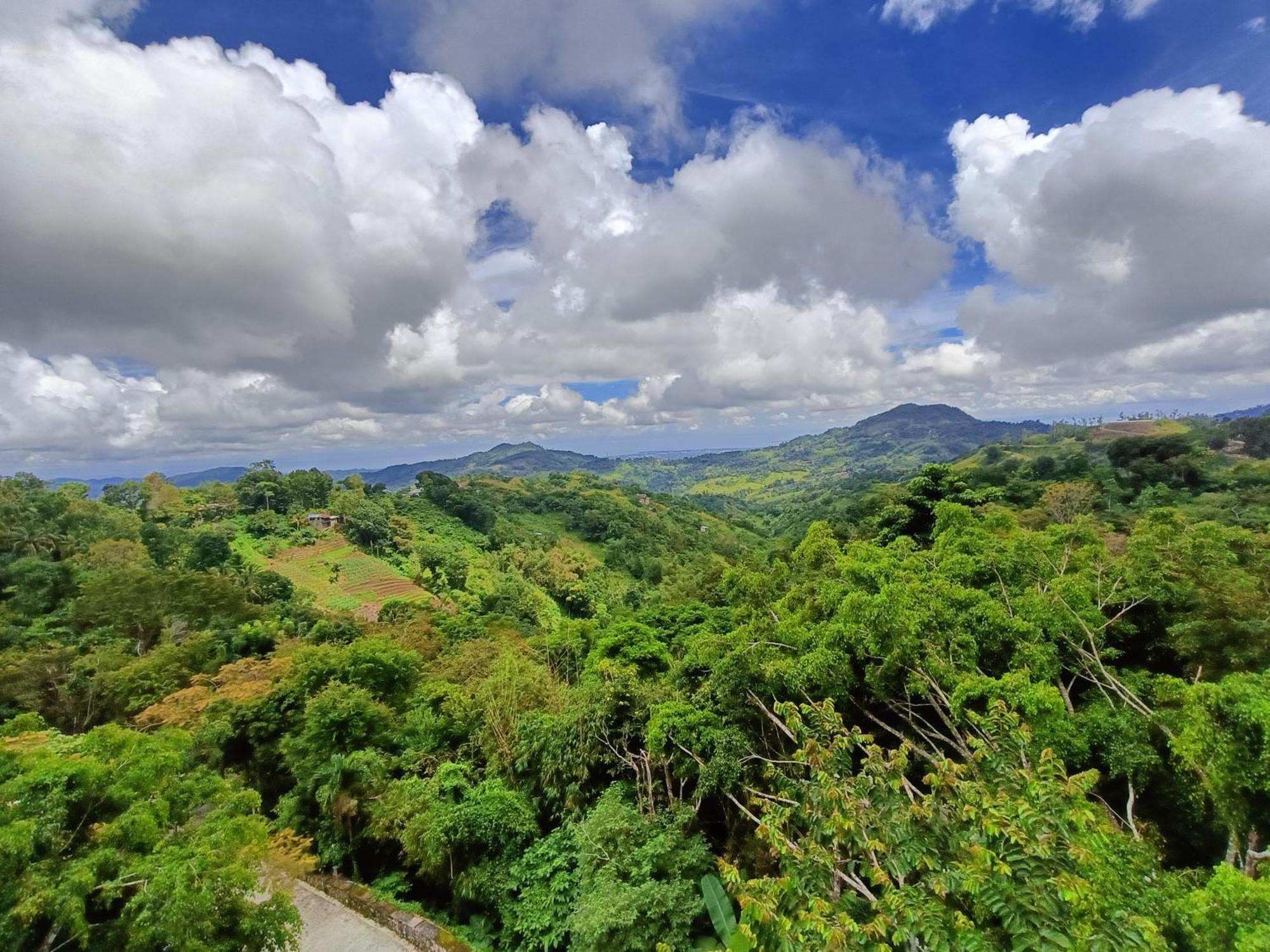 Mist Mountain Resort Powered By Cocotel Cebu Exteriér fotografie